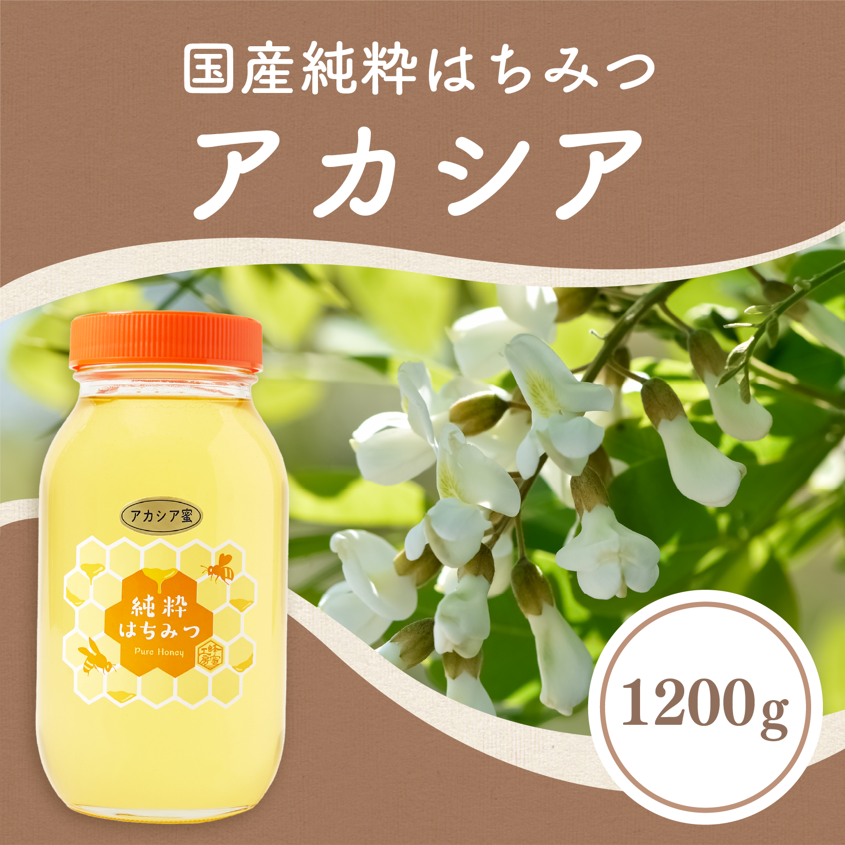 国産はちみつ　アカシア　1200g 2本 アカシア蜂蜜1200g – はちみつとミードのはちみつ工房